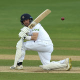 Platinum Cricket Gloves